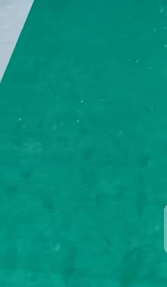 Carpet