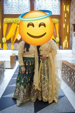 two same lehnga sets