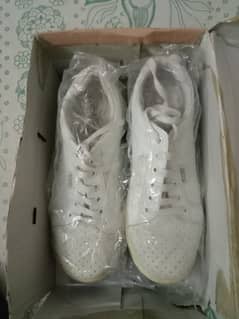 NDURE PT Shoes