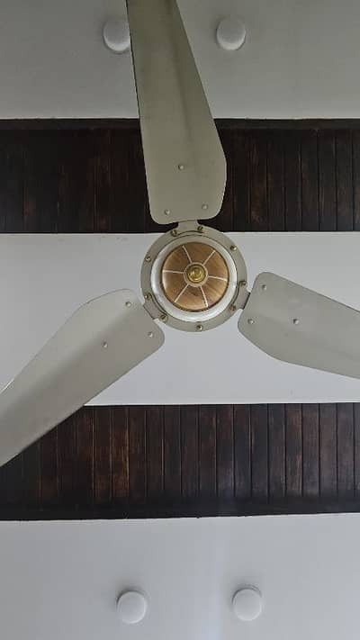 10/ 10 condition only 3 years used