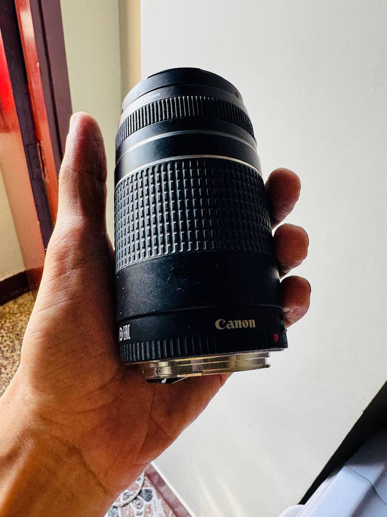 Canon 70-300mm Lens 0-33-99-22-00-30 7