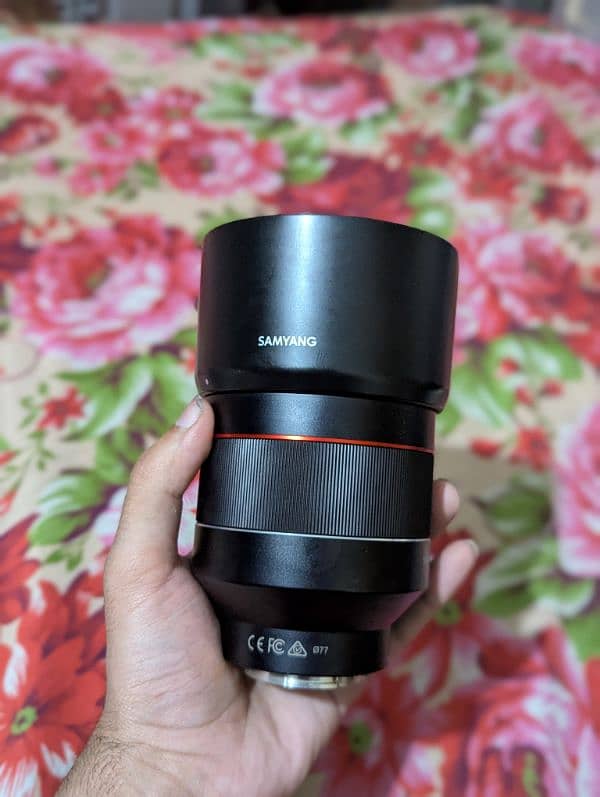 Sony mount 85mm 1.4 Samyang 10/9.5 1