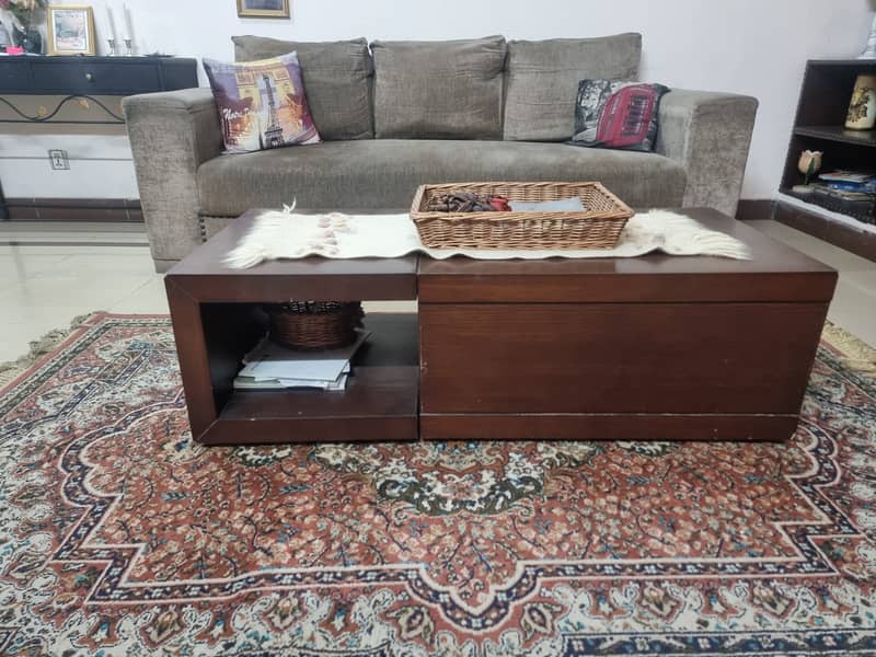 Sofa and center table 5