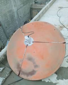 Dish.