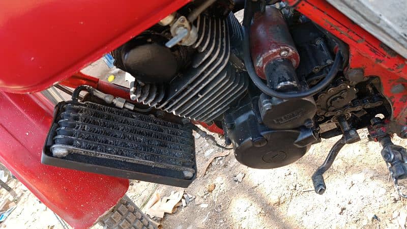 Tiger Boxer 200cc engine 4