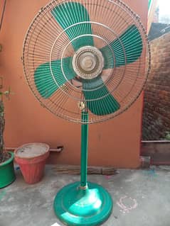 gul fan