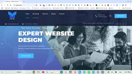 Fix WordPress Website Errors | Theme Installation | Bug Removal