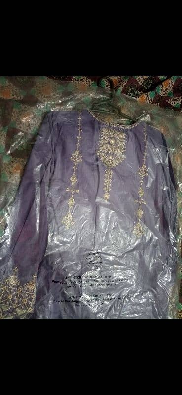 Ethnic fancy dress 1
