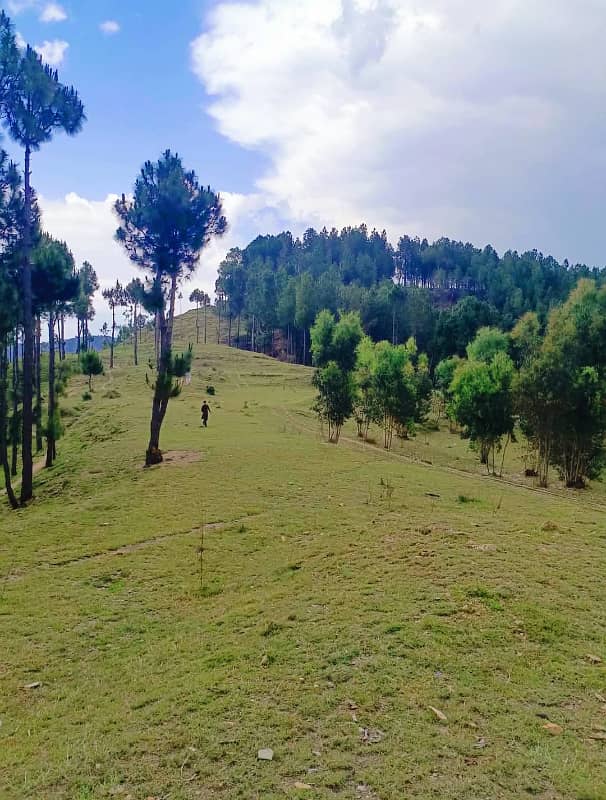 4 Kanal Plot Available for Sale at Qalandarabad, Abbottabad! 1