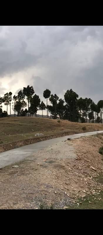 4 Kanal Plot Available for Sale at Qalandarabad, Abbottabad! 0