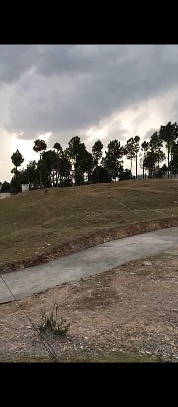 4 Kanal Plot Available for Sale at Qalandarabad, Abbottabad! 2