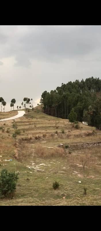 4 Kanal Plot Available for Sale at Qalandarabad, Abbottabad! 3