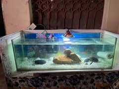14 Liter Fish Aquarium without stand