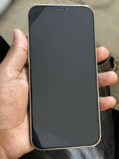 i phone 12 pro max (JV) GOLD