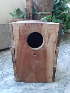 Cocktails breeding box for sale