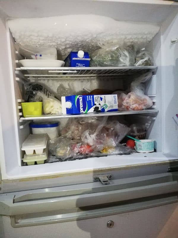 Orient fridge big size 5