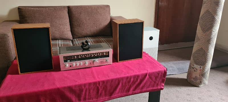 Home sound system | High end PYE Audio speakers & Technics amplifier 4