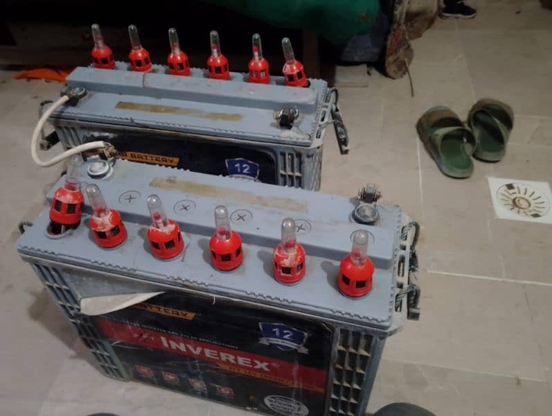 Inverex Tabular battery for sale 3
