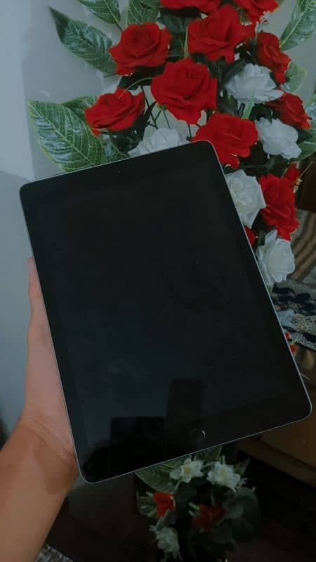 Ipad 6 generation Lush Condition 6