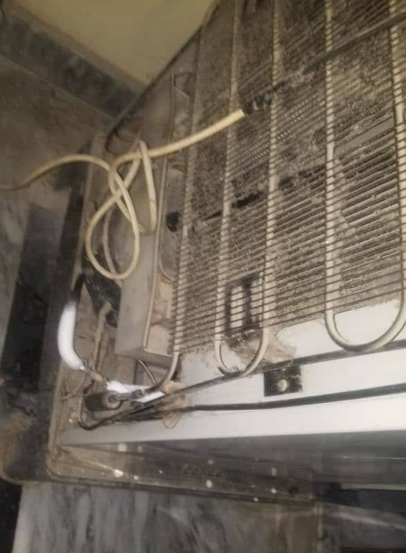 refrigrator dawlance used condition but new jesa ha 1