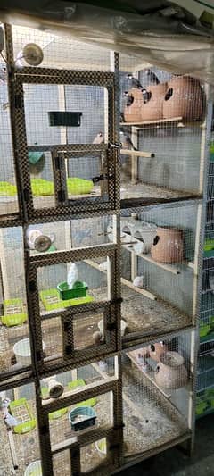 Colony Cage 3 Portion Wooden