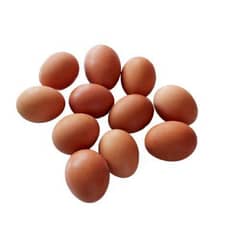 Desi Eggs Available Jumboo Size