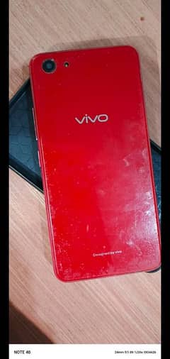 vivo