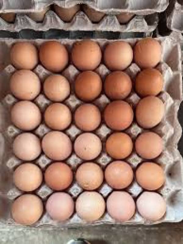 Farm Fresh desi eggs 2
