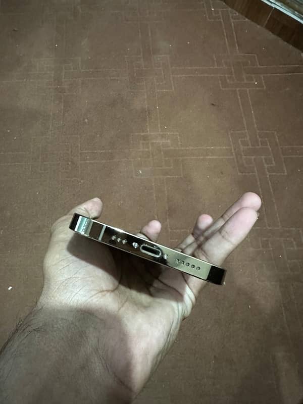 12 pro dual Pta Gold colur 10 By 9.5 1