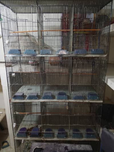 12 portion cage