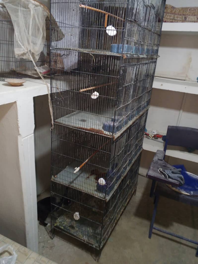 12 portion cage 1