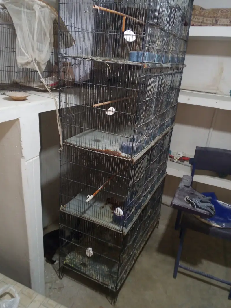 12 portion cage — photo 2