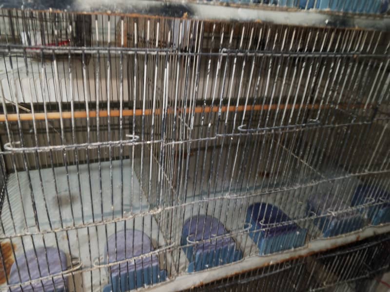 12 portion cage 2