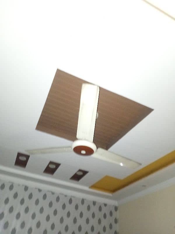 two fans 0