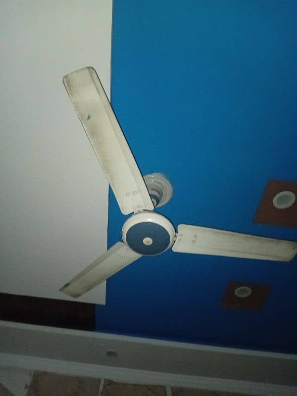 two fans 1