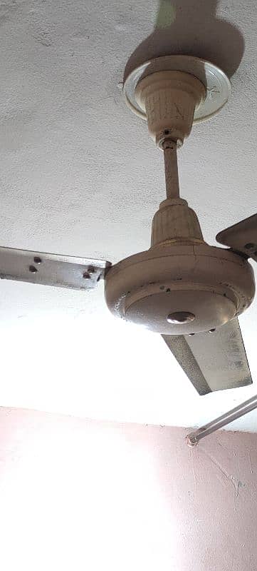 celling fans urgent 0