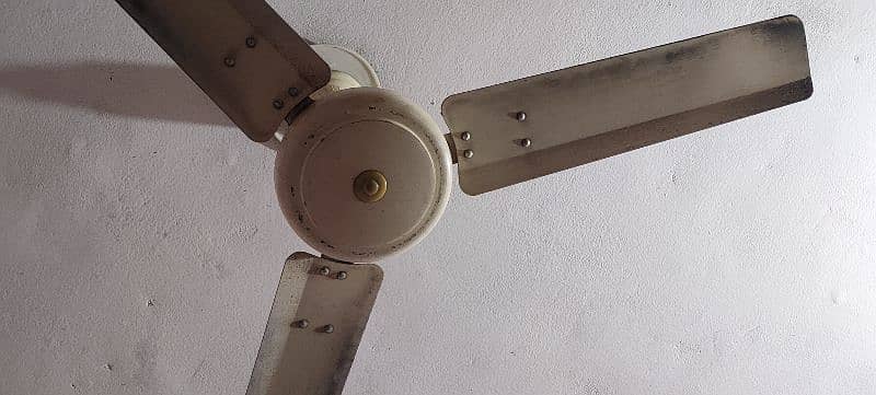 celling fans urgent 3