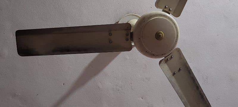 celling fans urgent 4