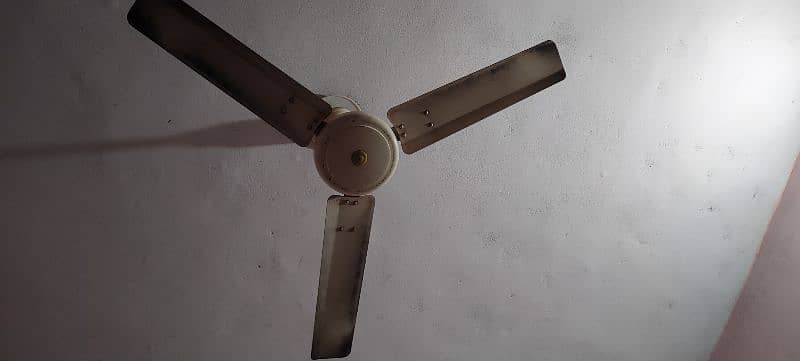 celling fans urgent 5