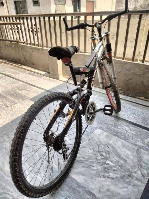 Phoenix cycle 3