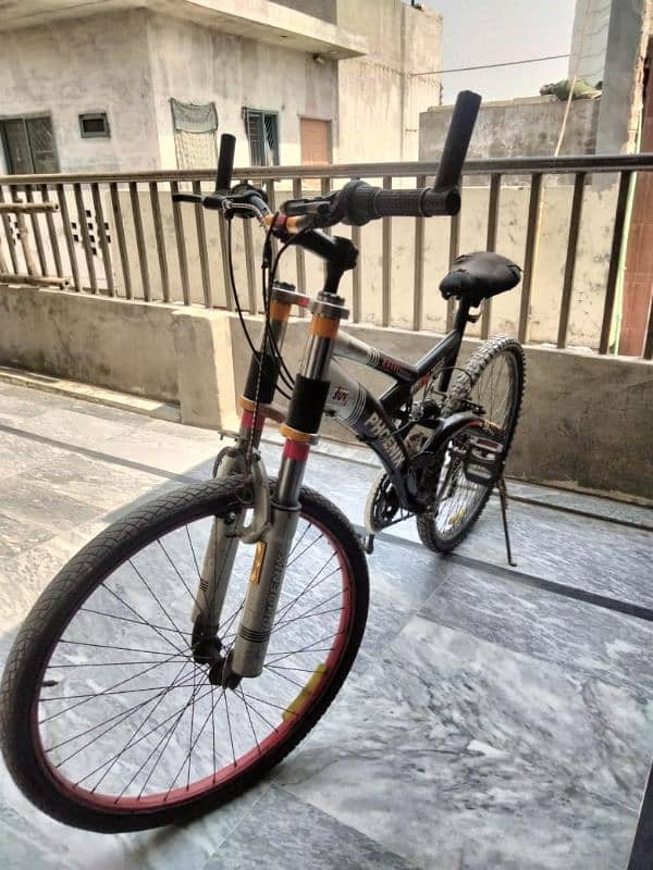 Phoenix cycle 5
