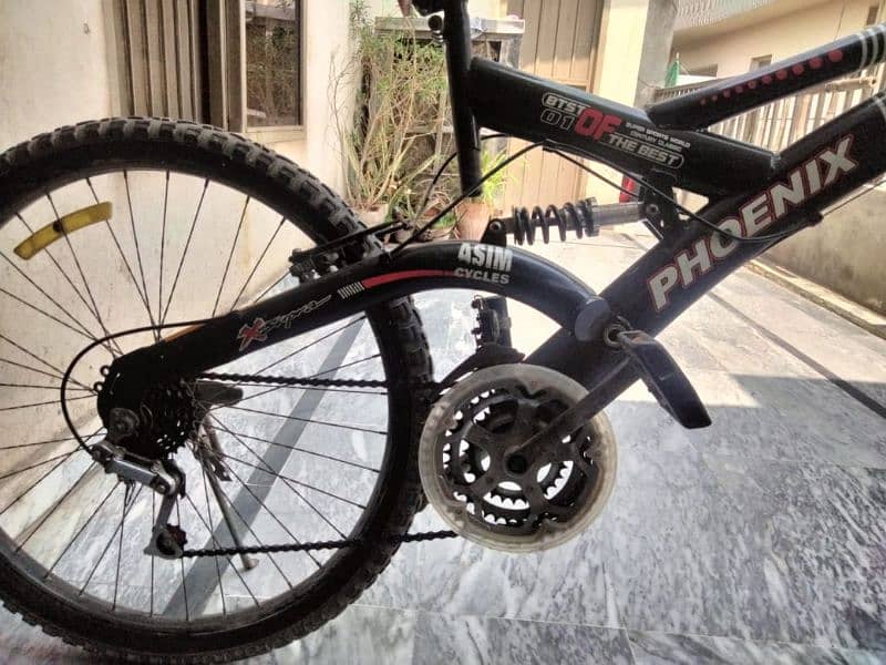 Phoenix cycle 6