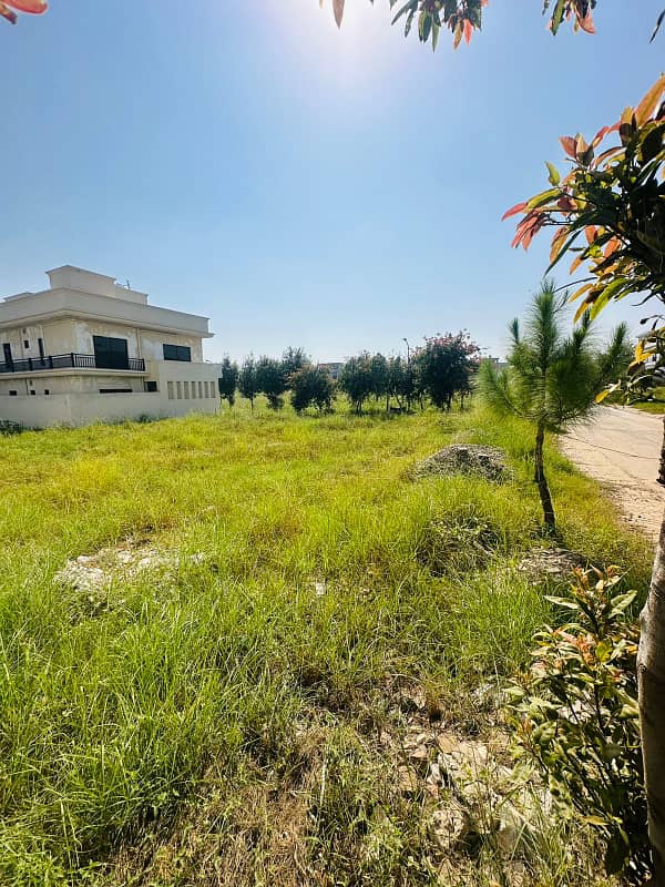 Urgent Sale Prime Location Location Plot In Top City 4