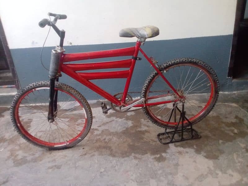 Cycle for more than 10 years children 0