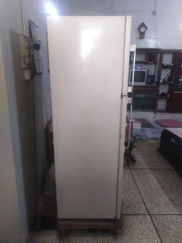 DAWALANCEC FULL SIZE NO FROST FRIDGE phone no. 0313.577. 88 48 2