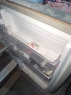 pel fridge