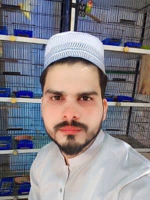 afzalmanzoor manzoor