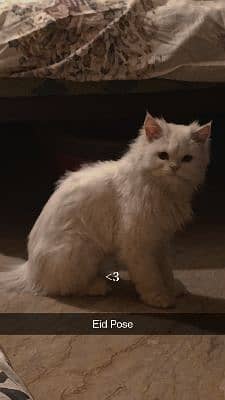 Mir