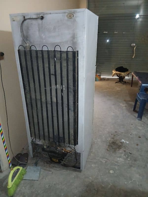 Dawanlce jumbo 2