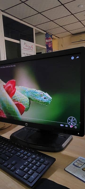 hp elite display E221 4k resolution 1